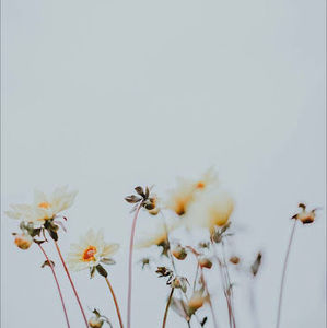 Meet your Posher, Janiyah